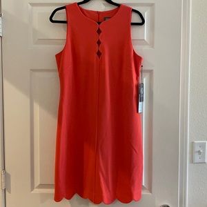 Vince Camuto Size 10 orange sheath dress with scalloped hem and neckline. NWT